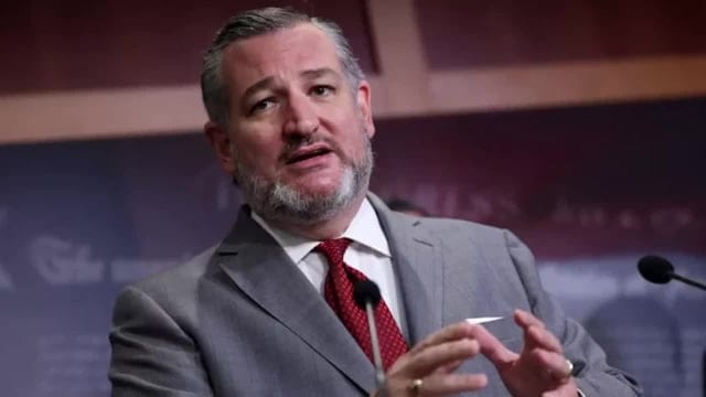 Ted Cruz Mocked for Declaring Birthright Citizenship is a ...