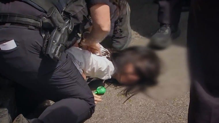 Massachusetts police hold girl's face to the ground as ICE ...