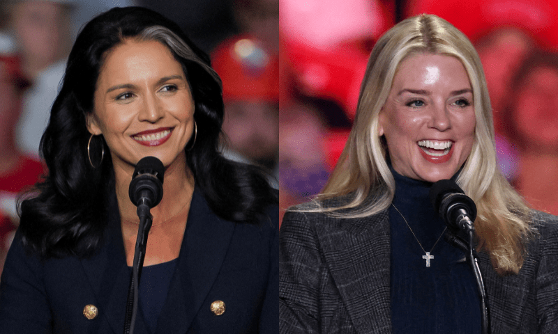 Trump's cabinet: Who's been picked