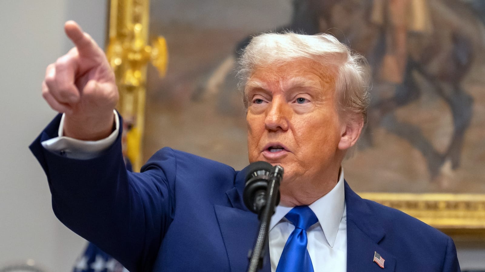 I thought they would only deport criminals': Donald Trump ...